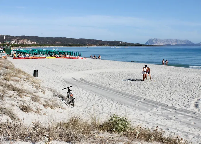 Apartman Bouganvillage-3 By Interhome Tanaunella